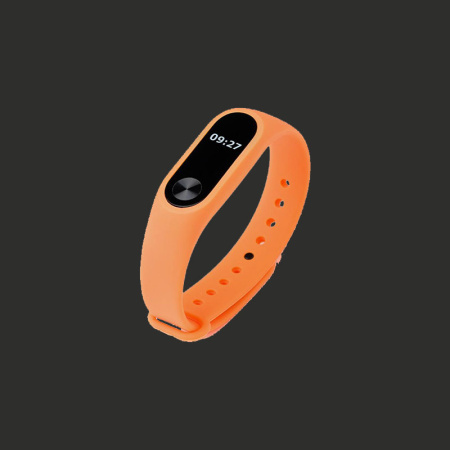 Alexa Built-in Fitness Watch